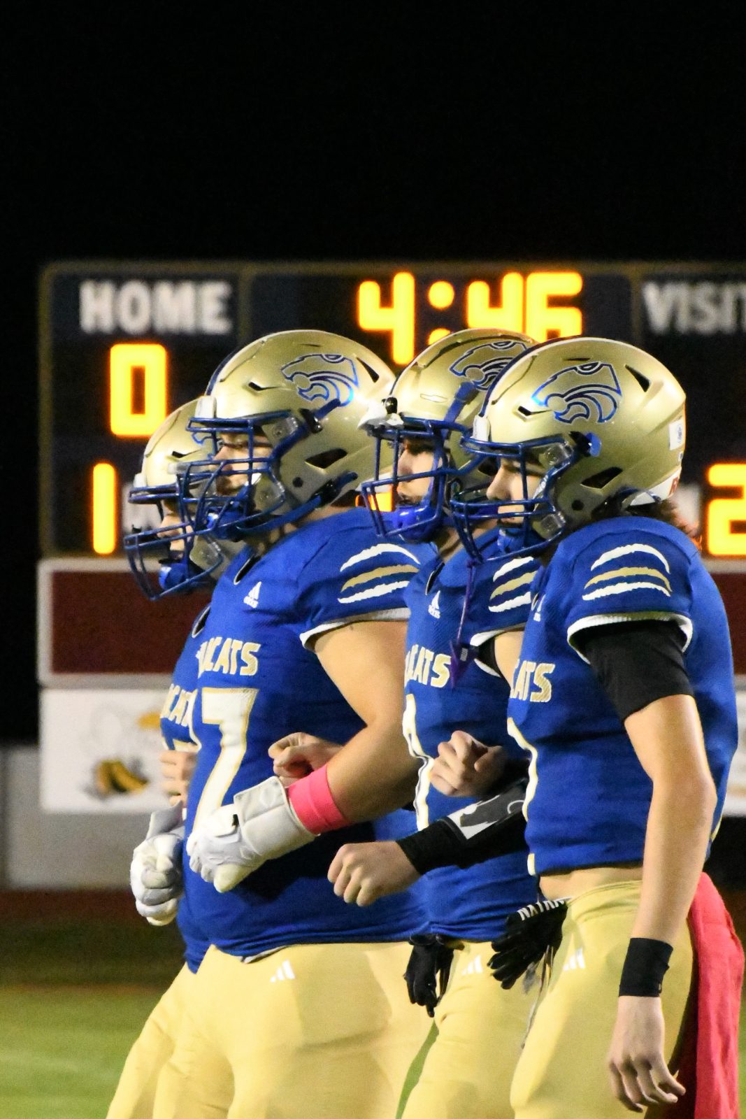 Wilson Central Team Home Wilson Central Wildcats Sports