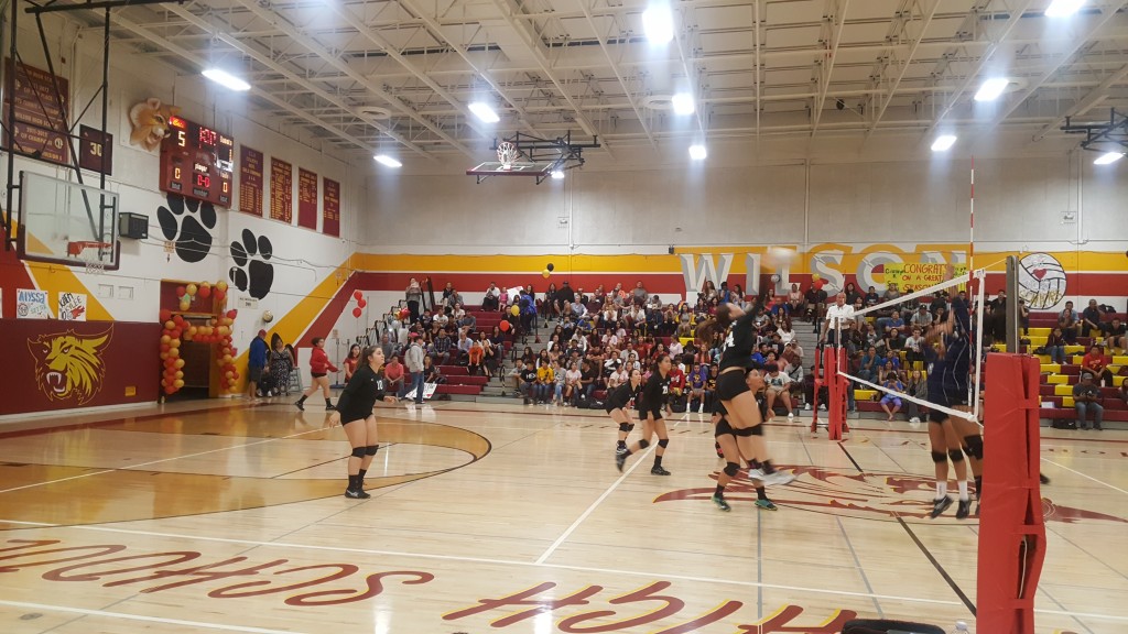 Wilson/Hacienda Heights Team Home Wilson/Hacienda Heights Wildcats Sports