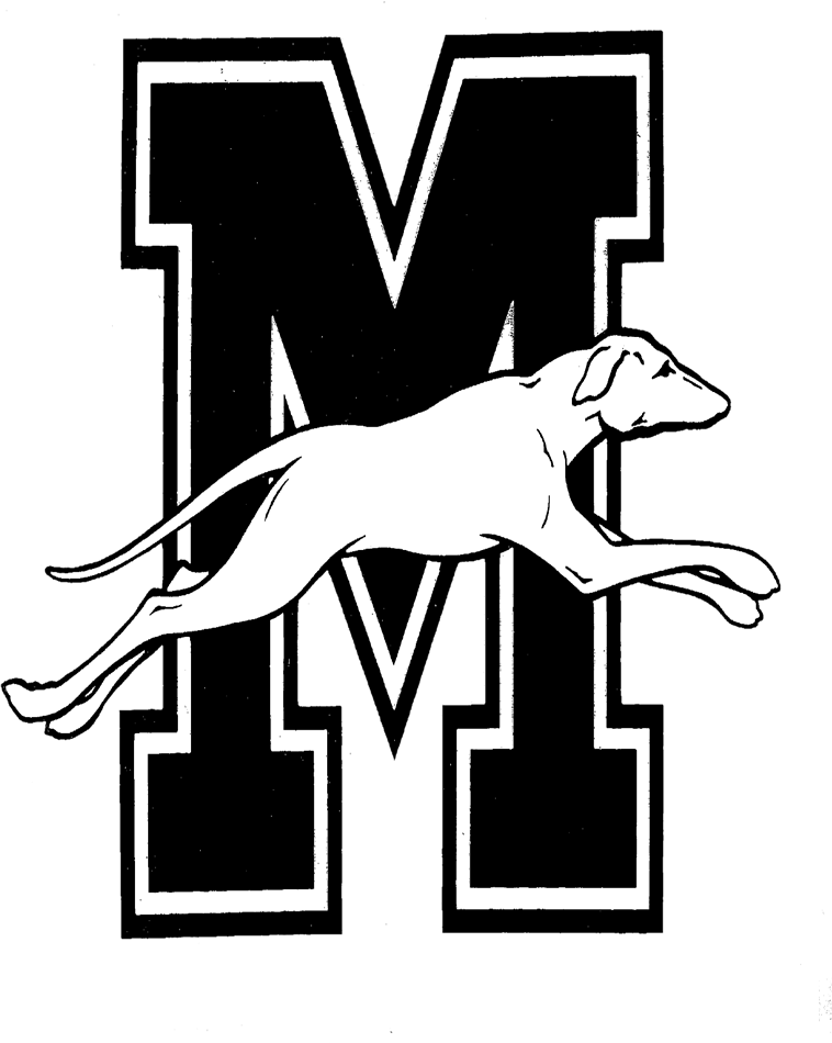 Team logo