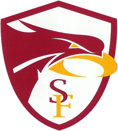Team logo
