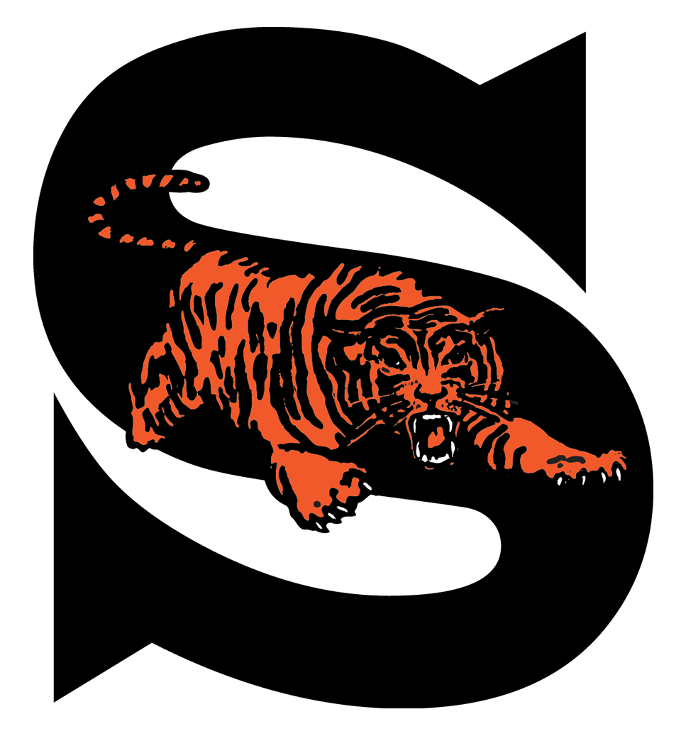 Team logo