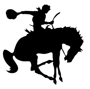Team logo