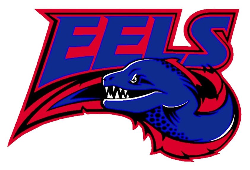 Team logo