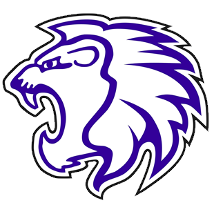 Team 2 logo