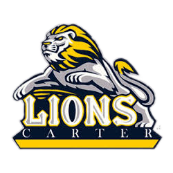 Team 1 logo