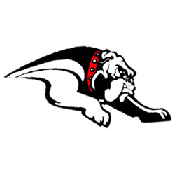 Team 2 logo