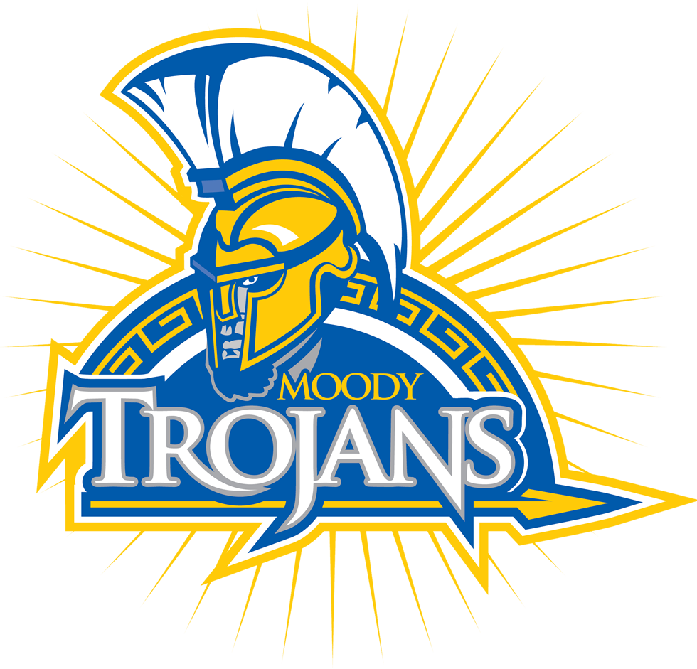 Team logo