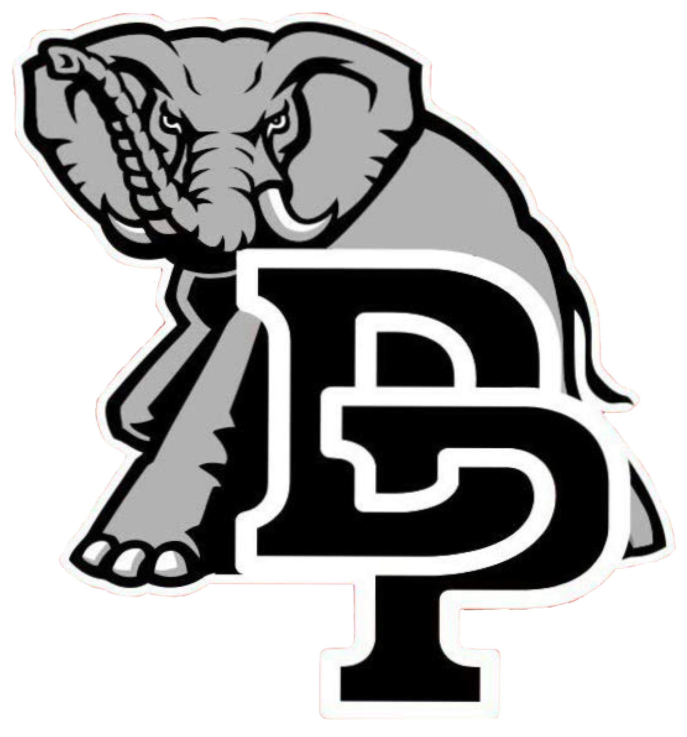 Team logo