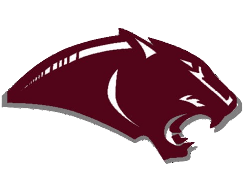 Team 1 logo