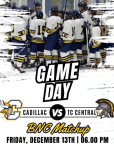 Cadillac Vikings - Official Athletic Website – Cadillac, MI