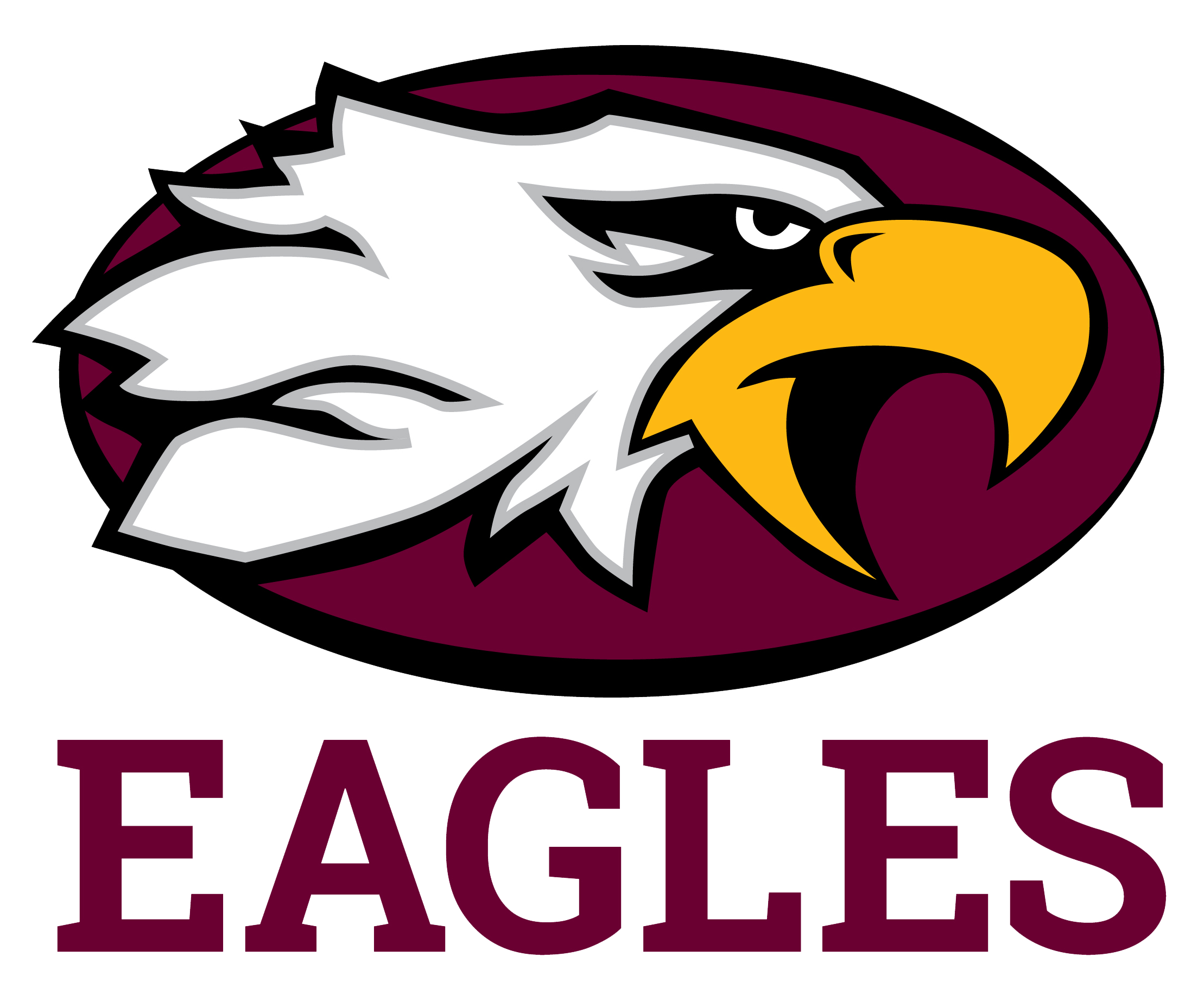 Buckeye Valley Barons - Official Athletic Website – Delaware, OH