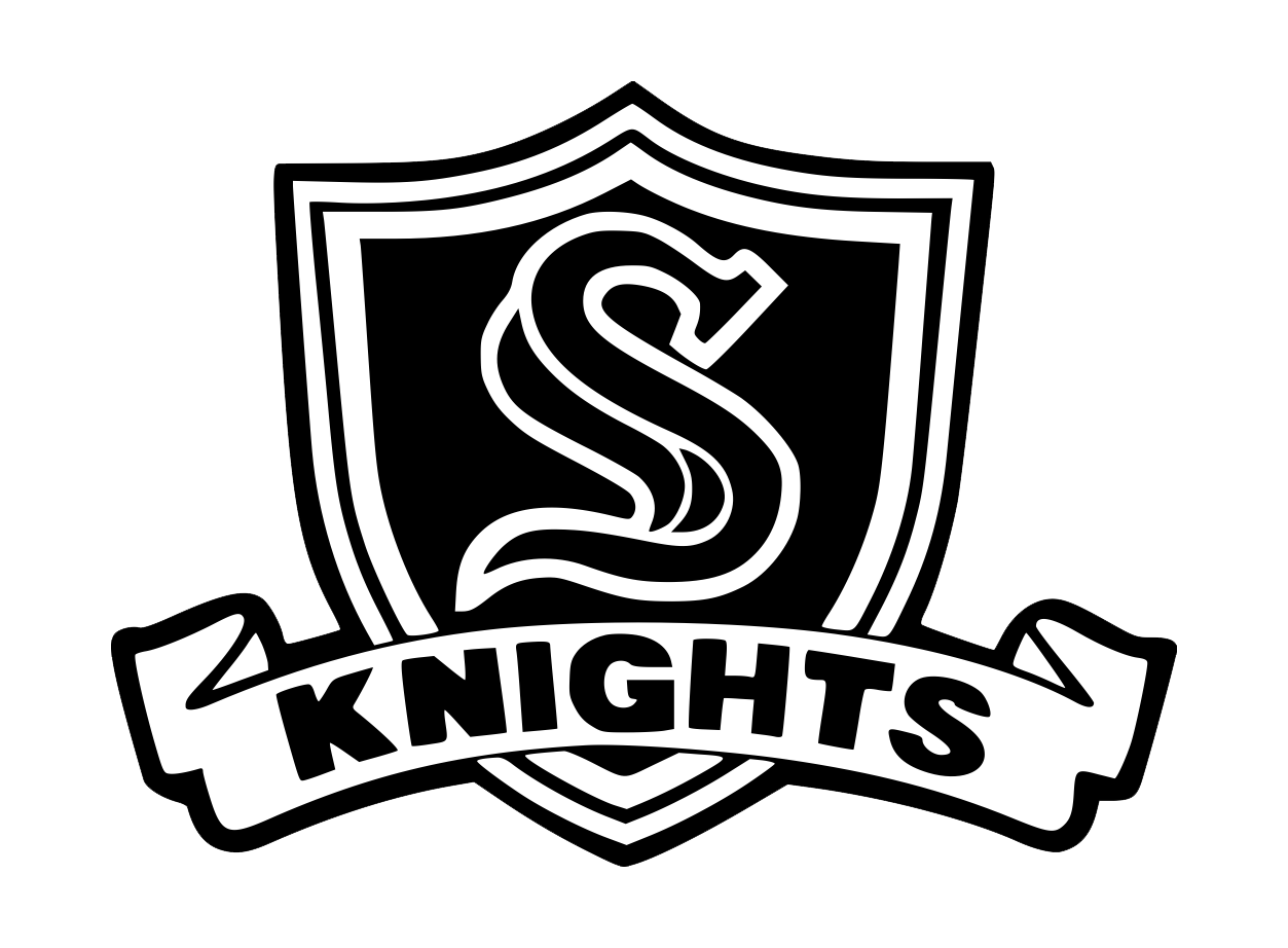 Team logo