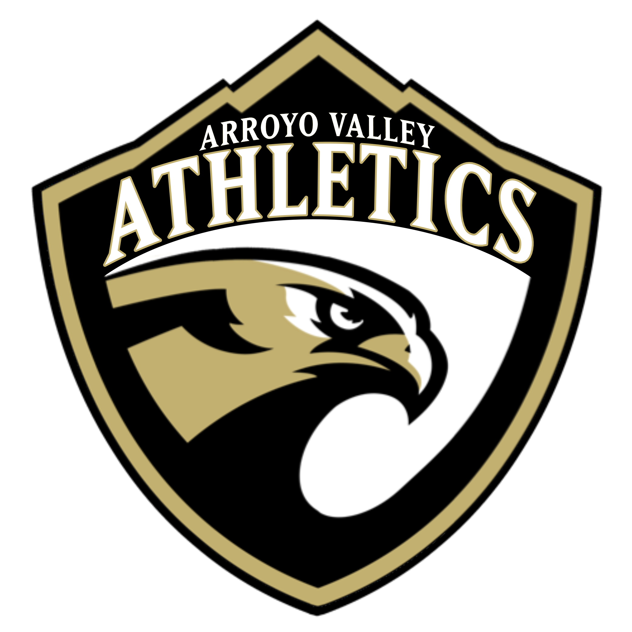 Team 2 logo