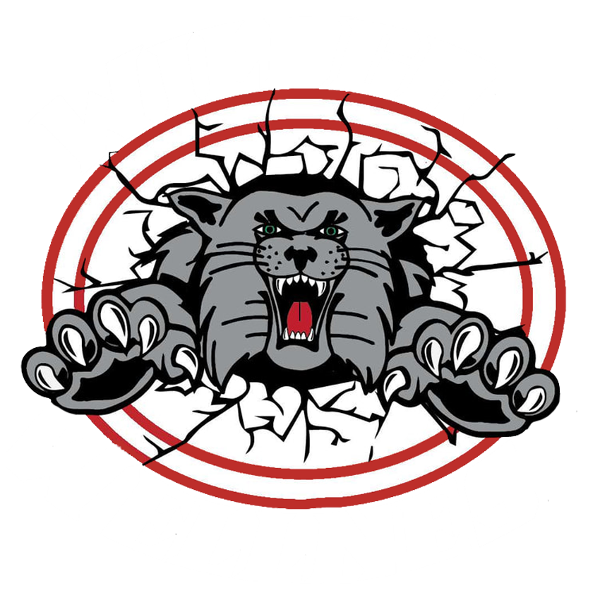 Team 1 logo