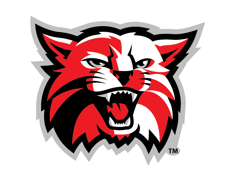 Team 2 logo