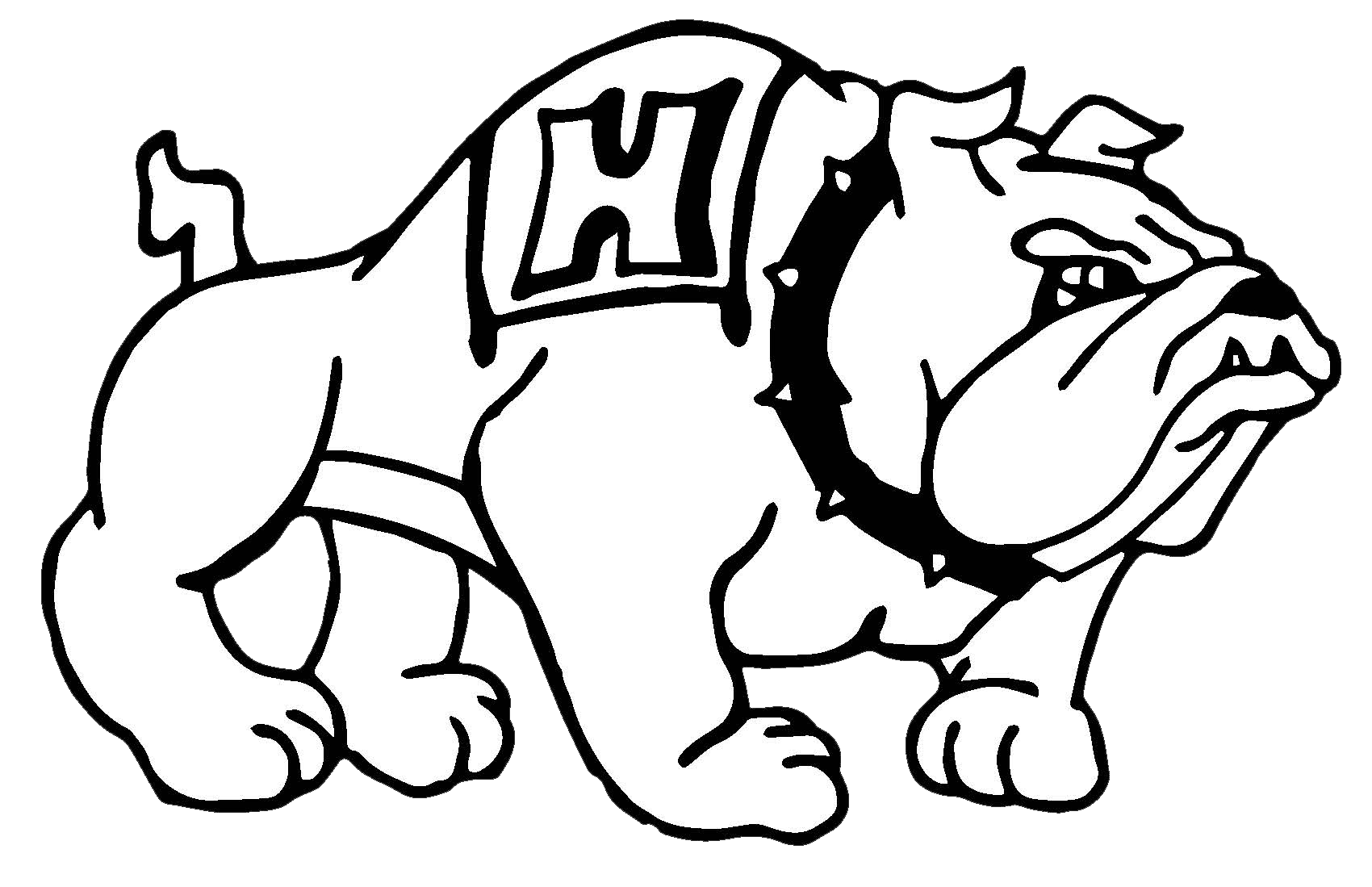 Team logo