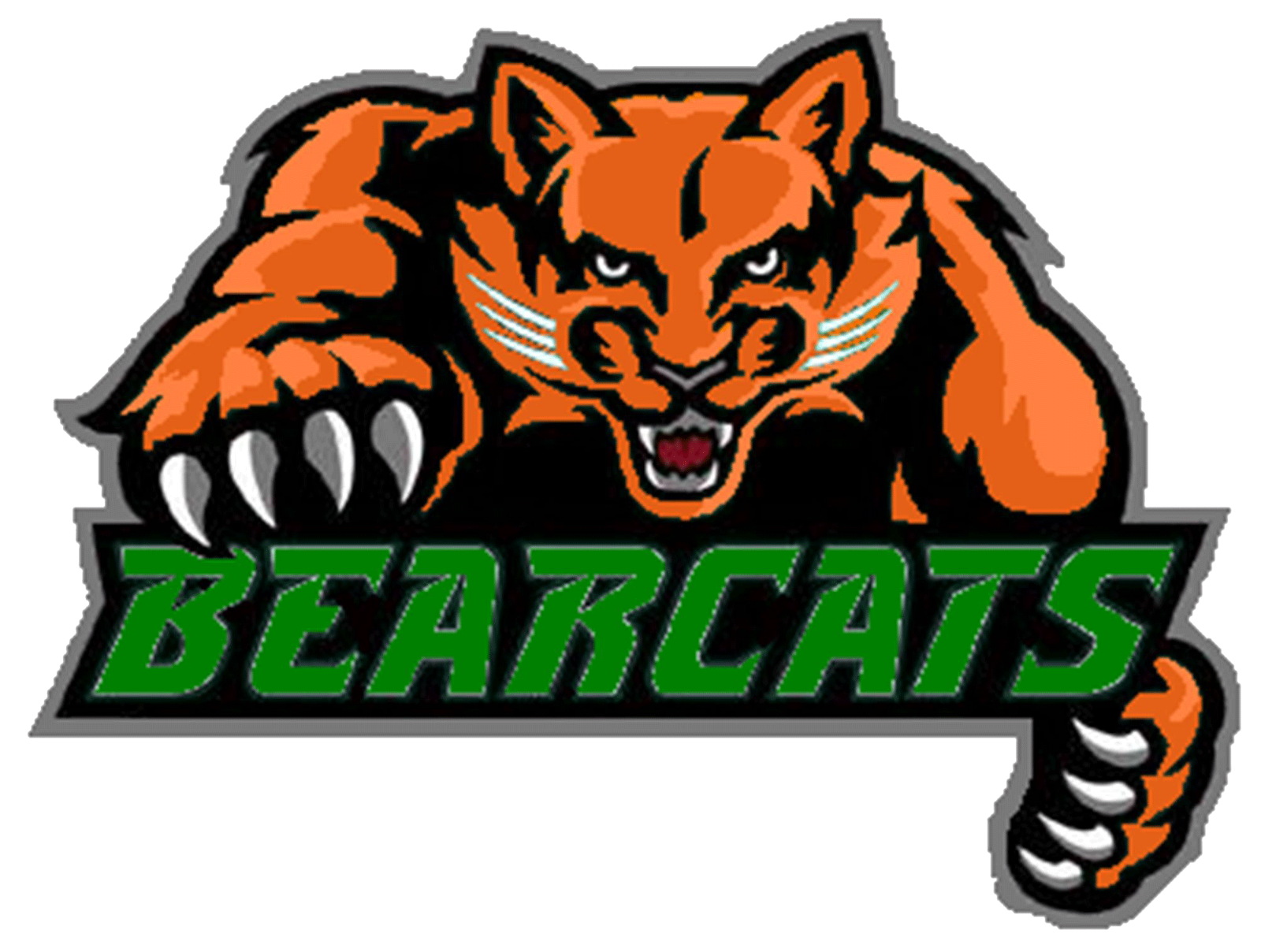 Team logo