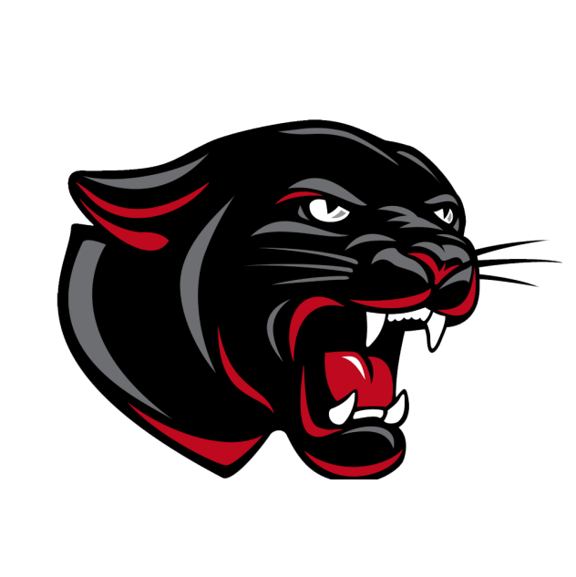 Team 1 logo