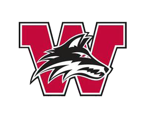 Team 1 logo