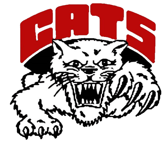 Team 1 logo
