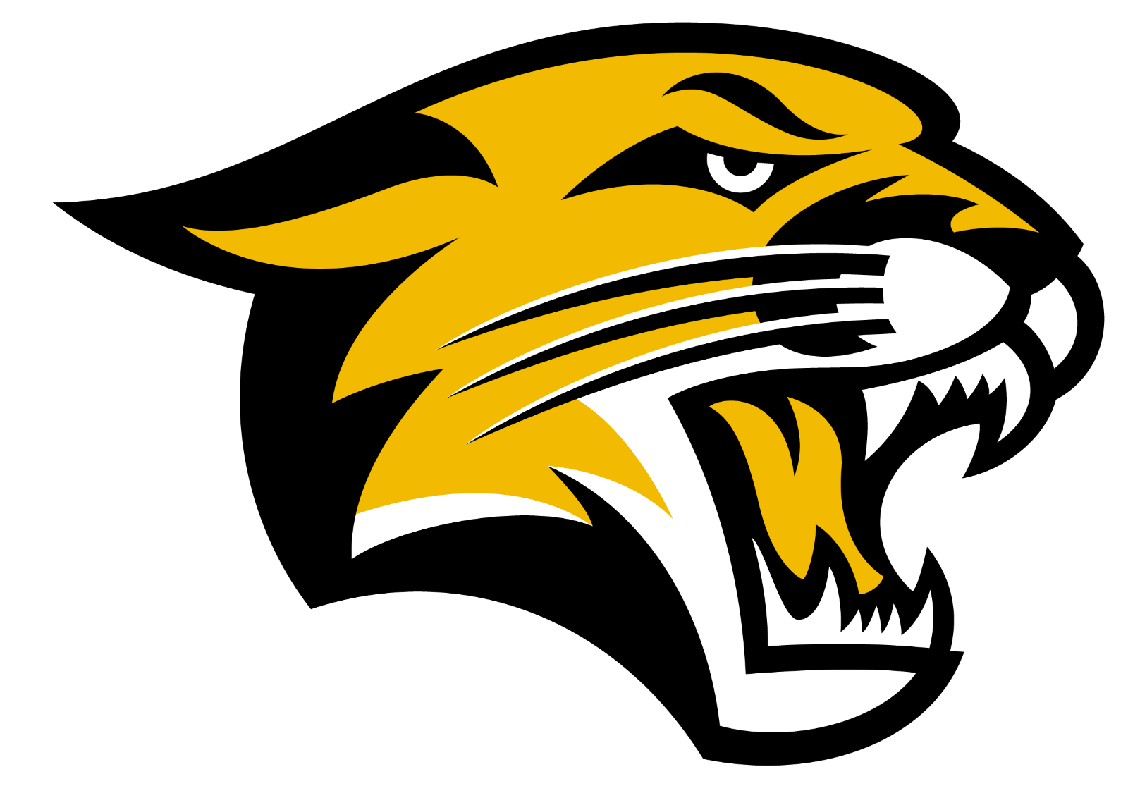 Team 1 logo