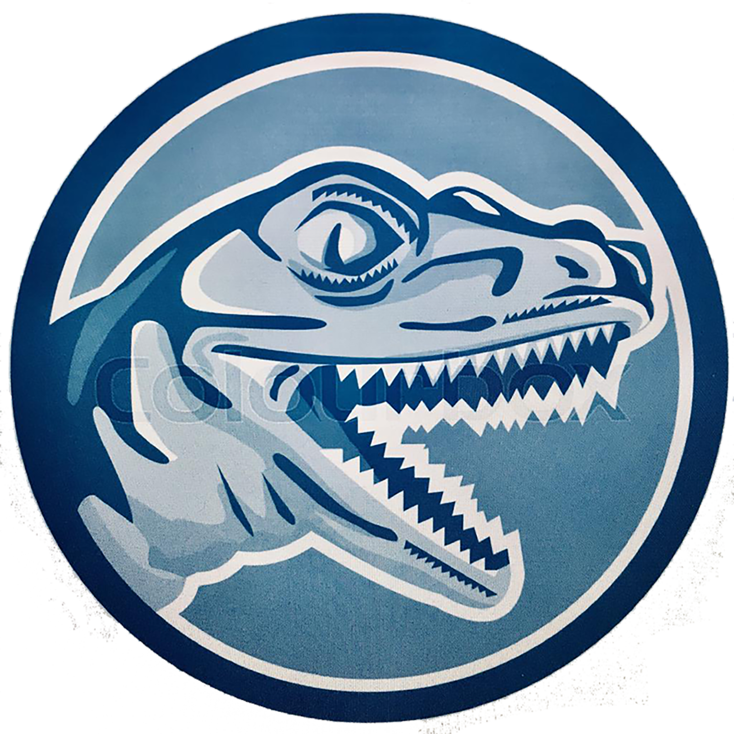 School Logo