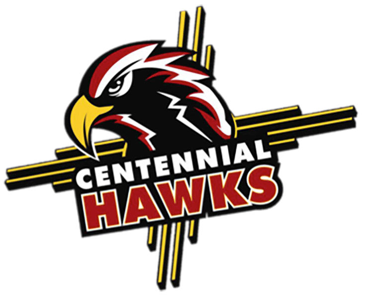 Team logo