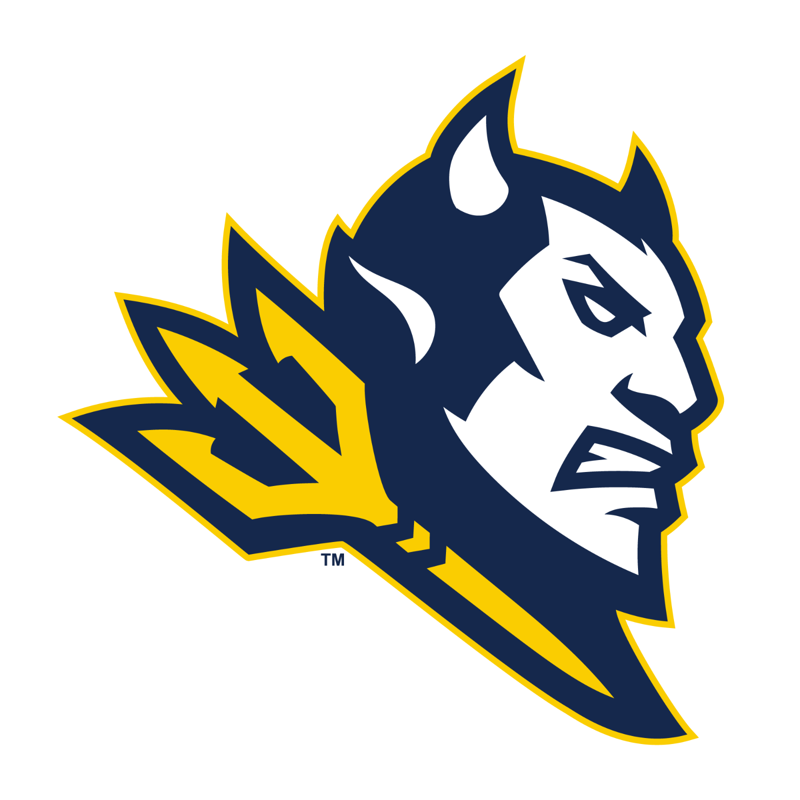 Team logo