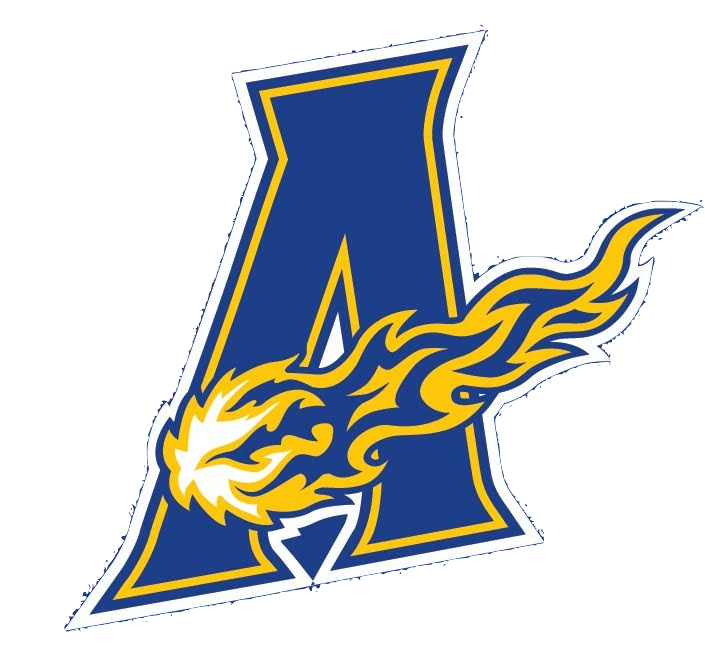 Team logo