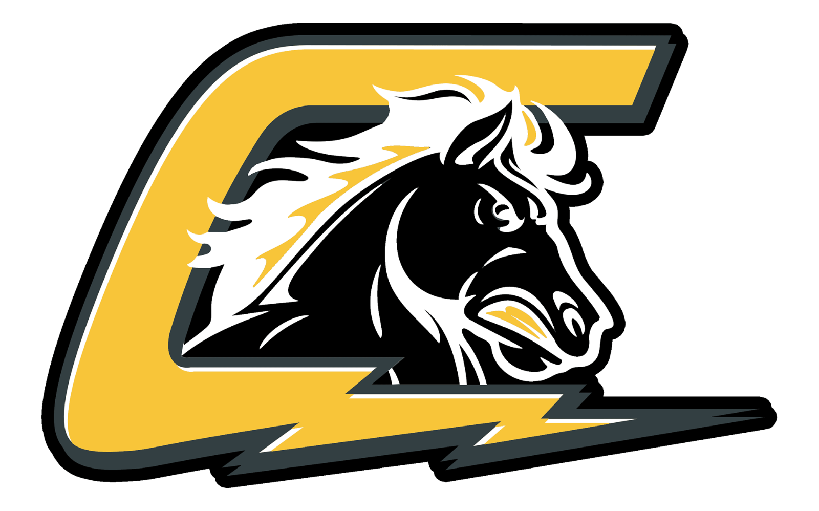 Team logo