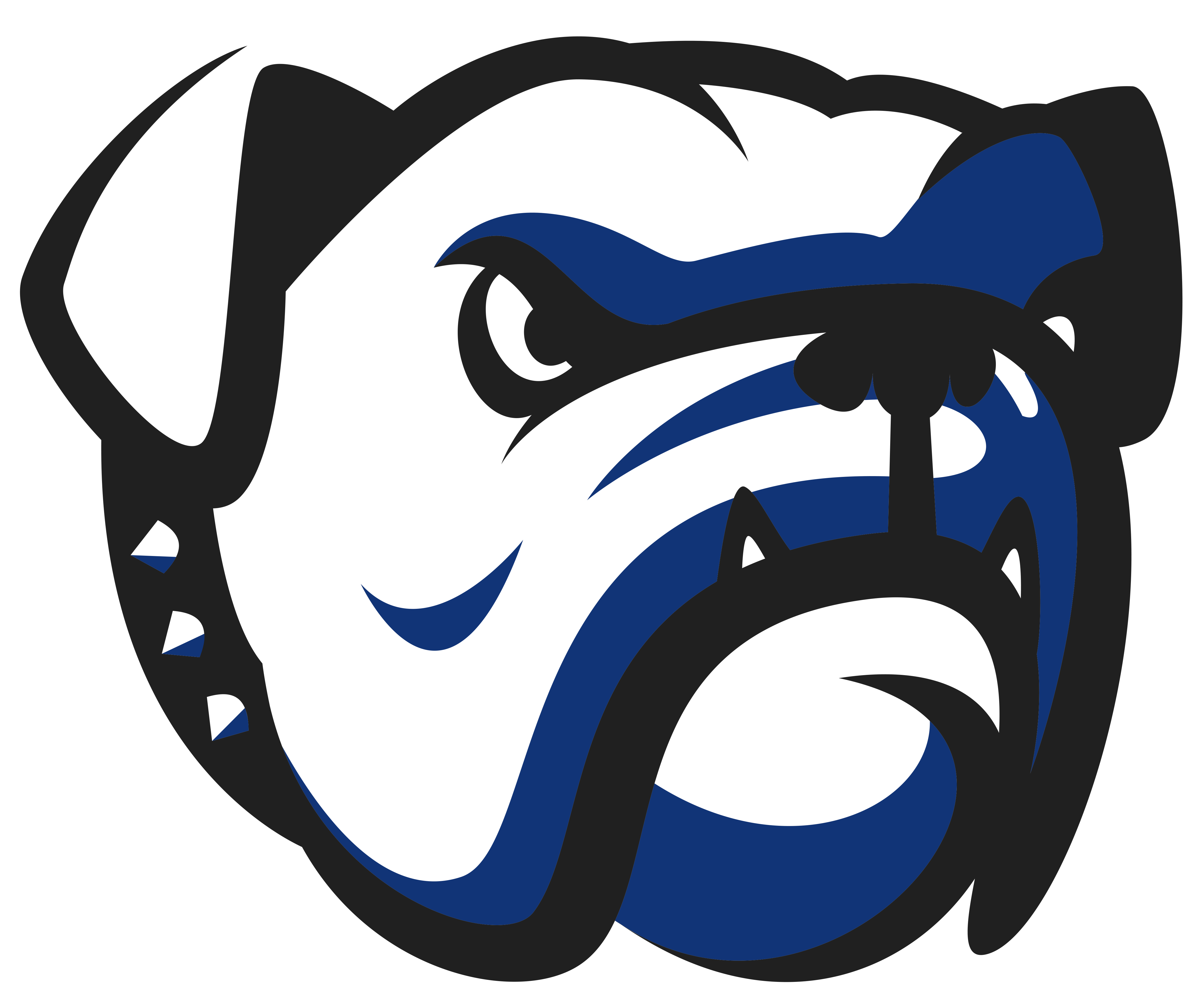 Team logo