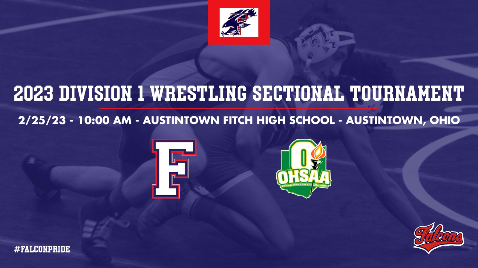 Austintown Fitch Team Home Austintown Fitch Falcons Sports