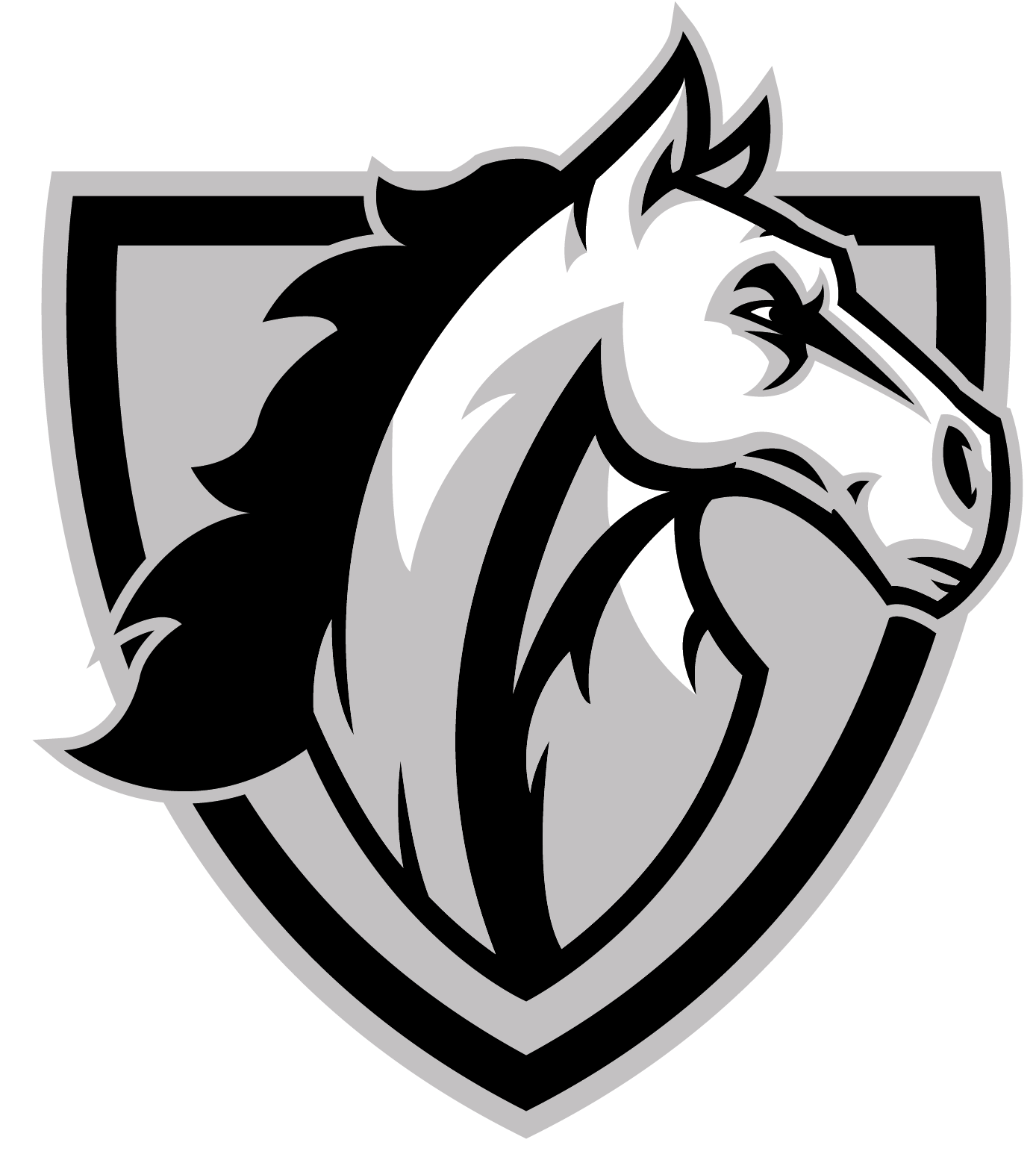 Team 2 logo