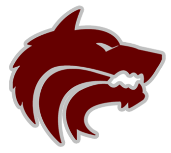 Team 1 logo