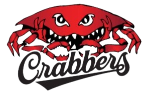 Team 1 logo