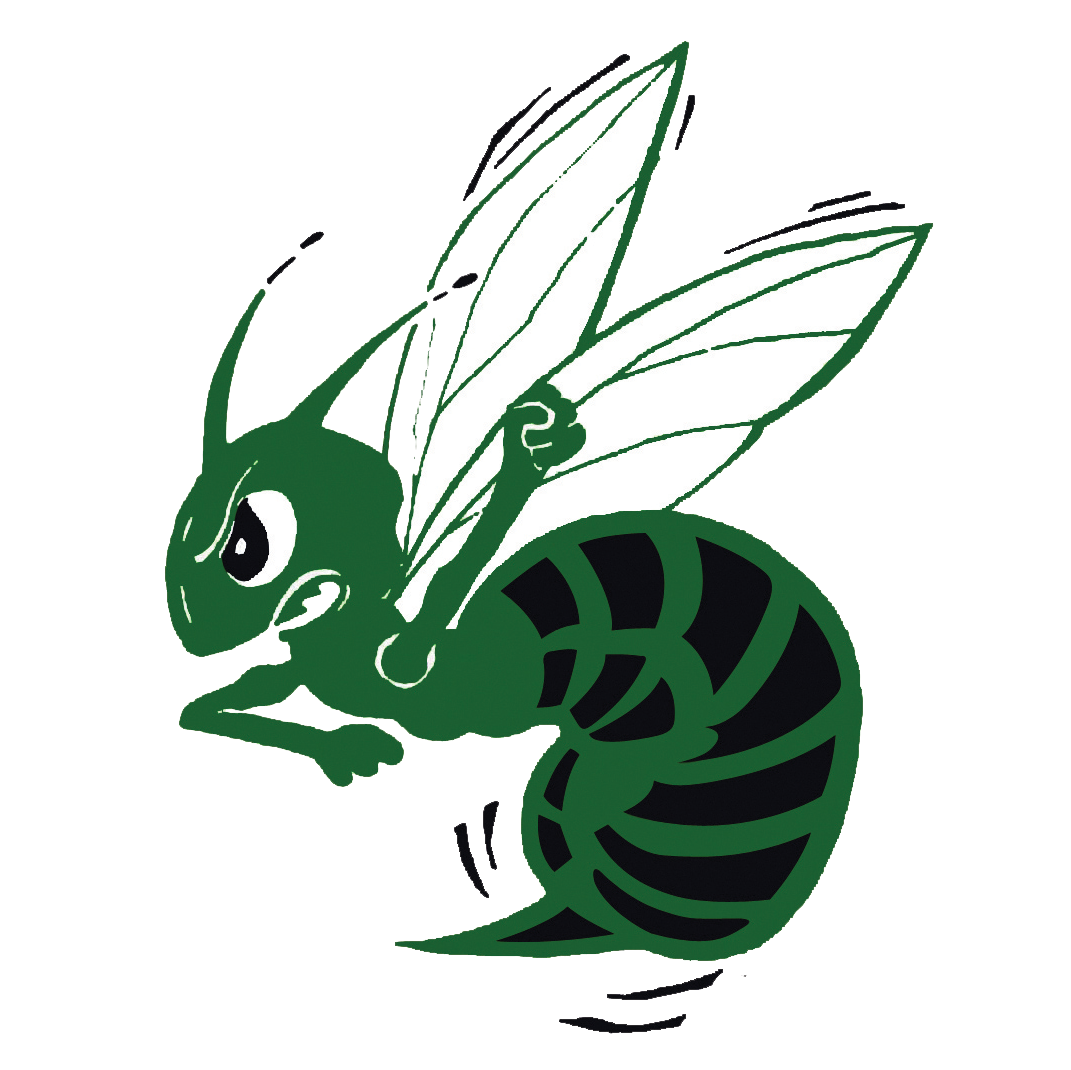 Team logo