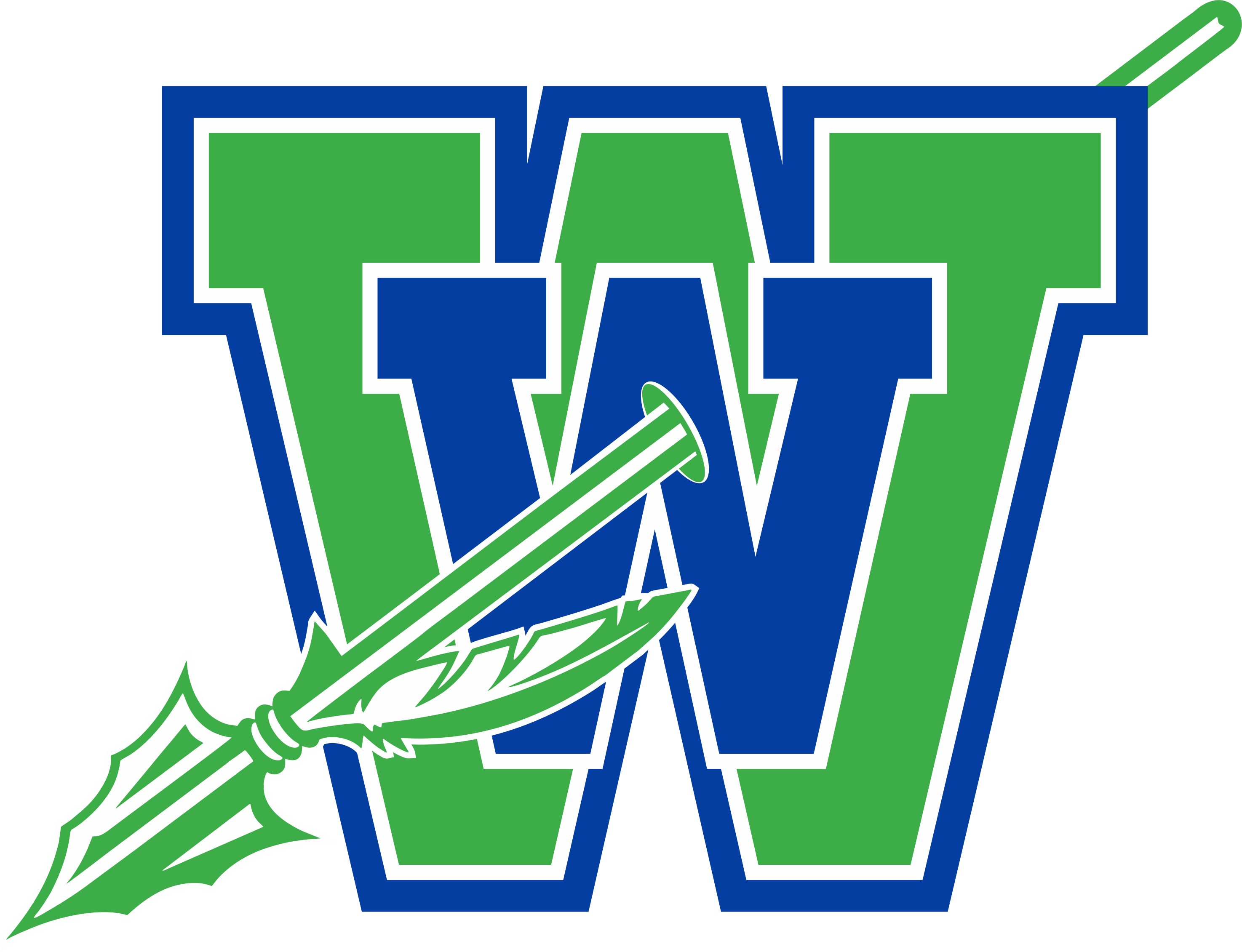 Team logo