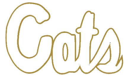 Team 1 logo