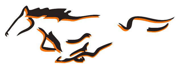 Team logo