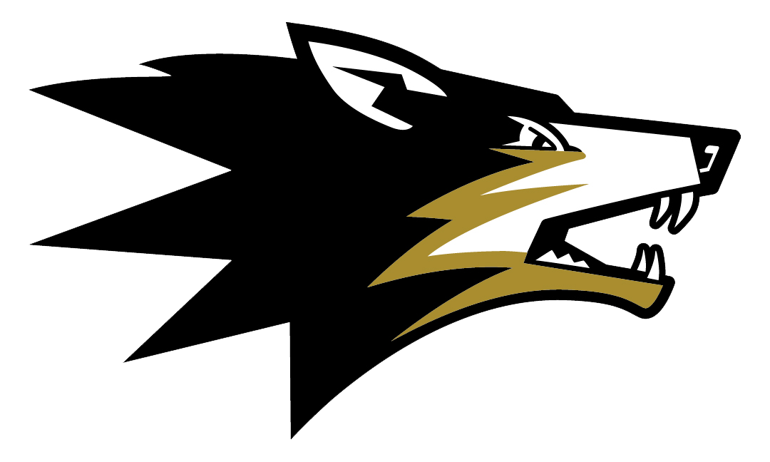 Team logo