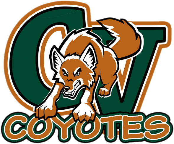 Team logo