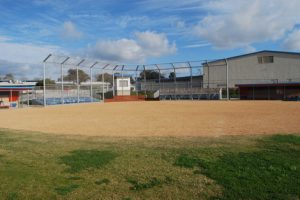 softball4